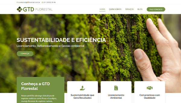 Capa do projeto GTD Florestal